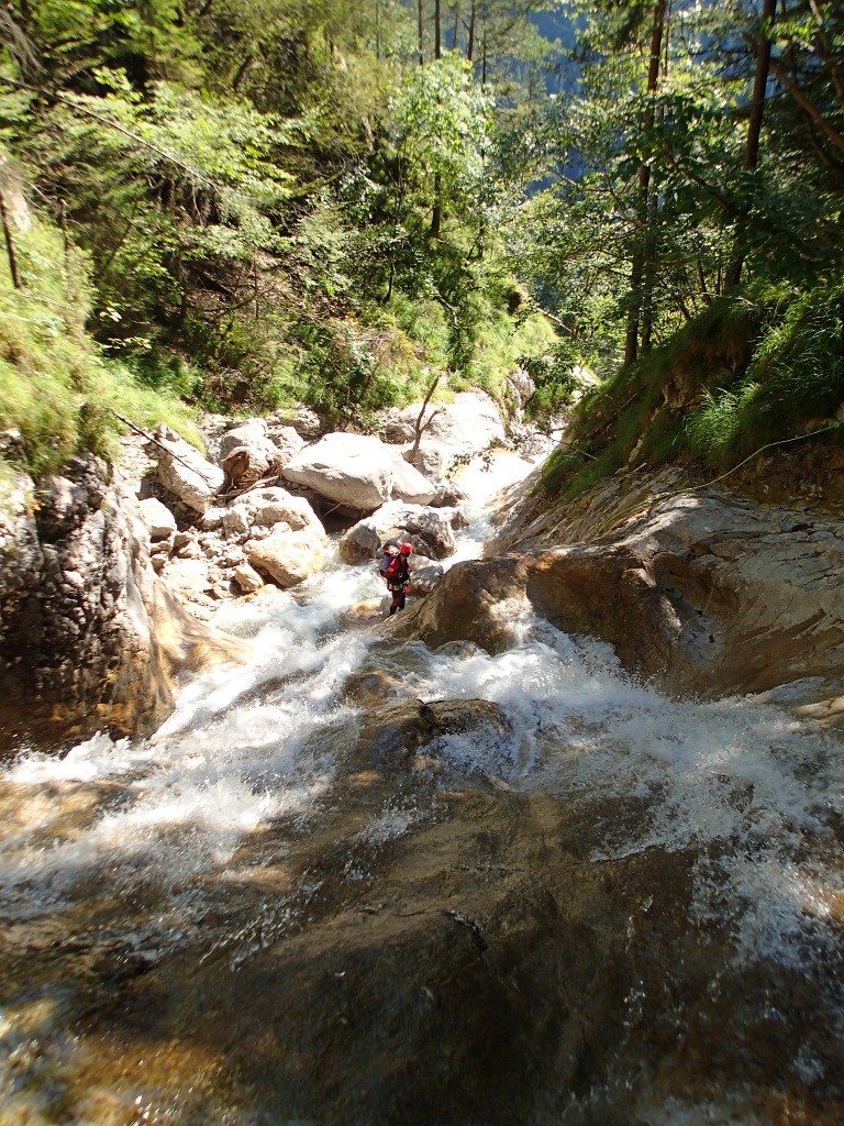 pricot (10).jpg - 365.06 kb