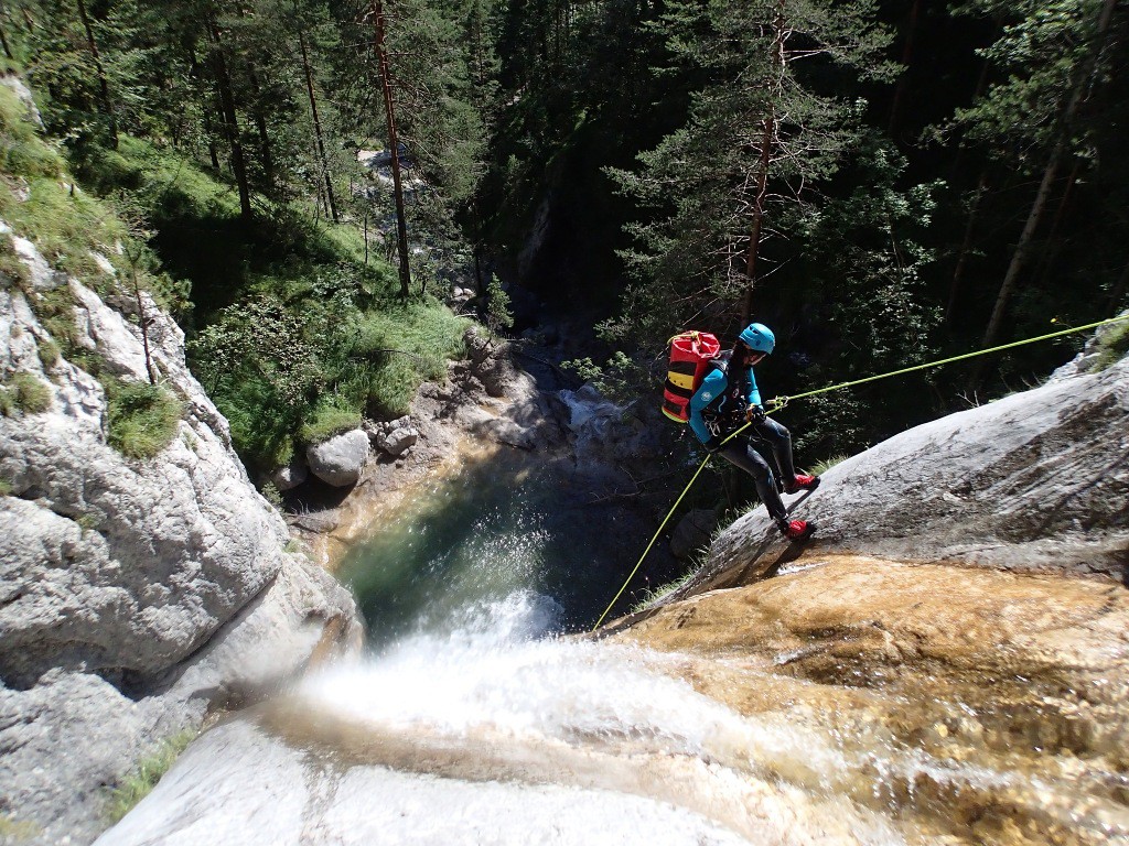 pricot (18).jpg - 340.47 kb