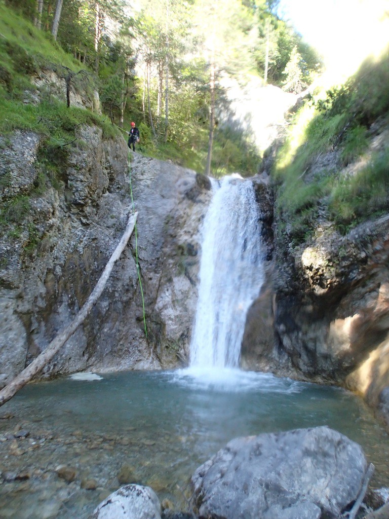 pricot (19).jpg - 259.72 kb