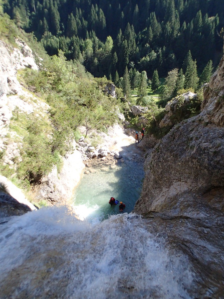 pricot (25).jpg - 294.31 kb