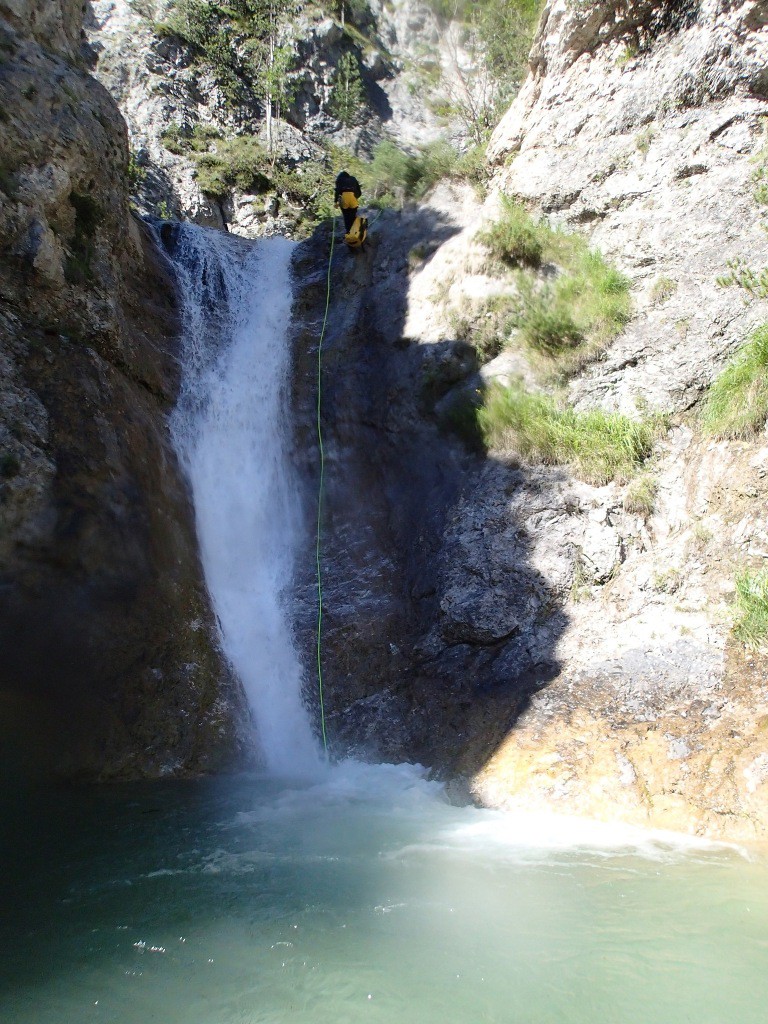 pricot (27).jpg - 275.37 kb