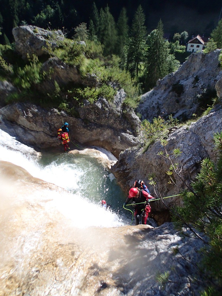 pricot (28).jpg - 282.56 kb