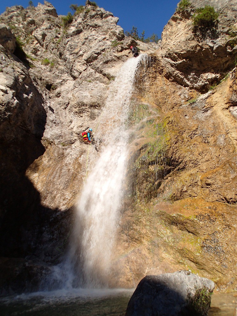 pricot (32).jpg - 341.2 kb