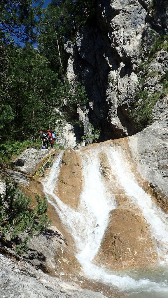 pricot (36).jpg - 290.91 kb