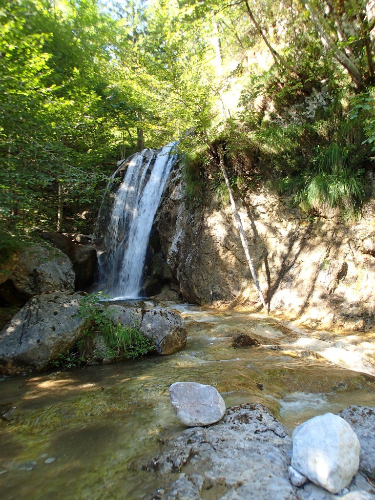 pricot (6).jpg - 359.73 kb