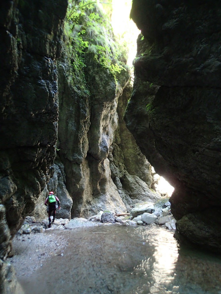 Tovanella (10).jpg - 236.83 kb