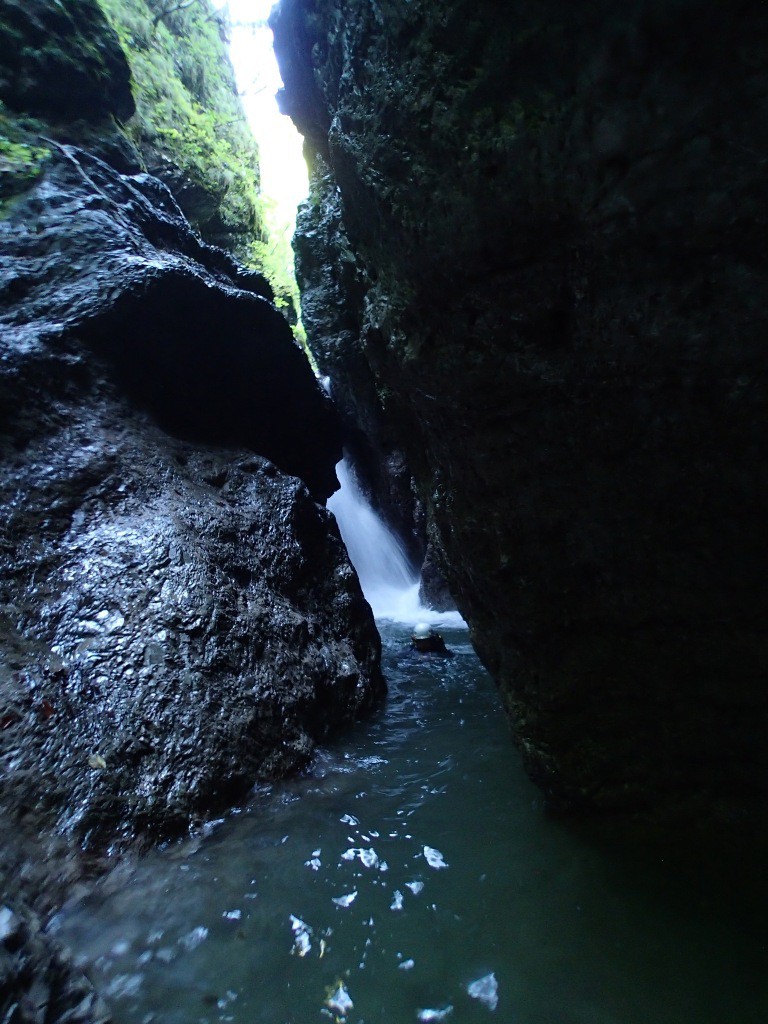 Tovanella (7).jpg - 202.21 kb