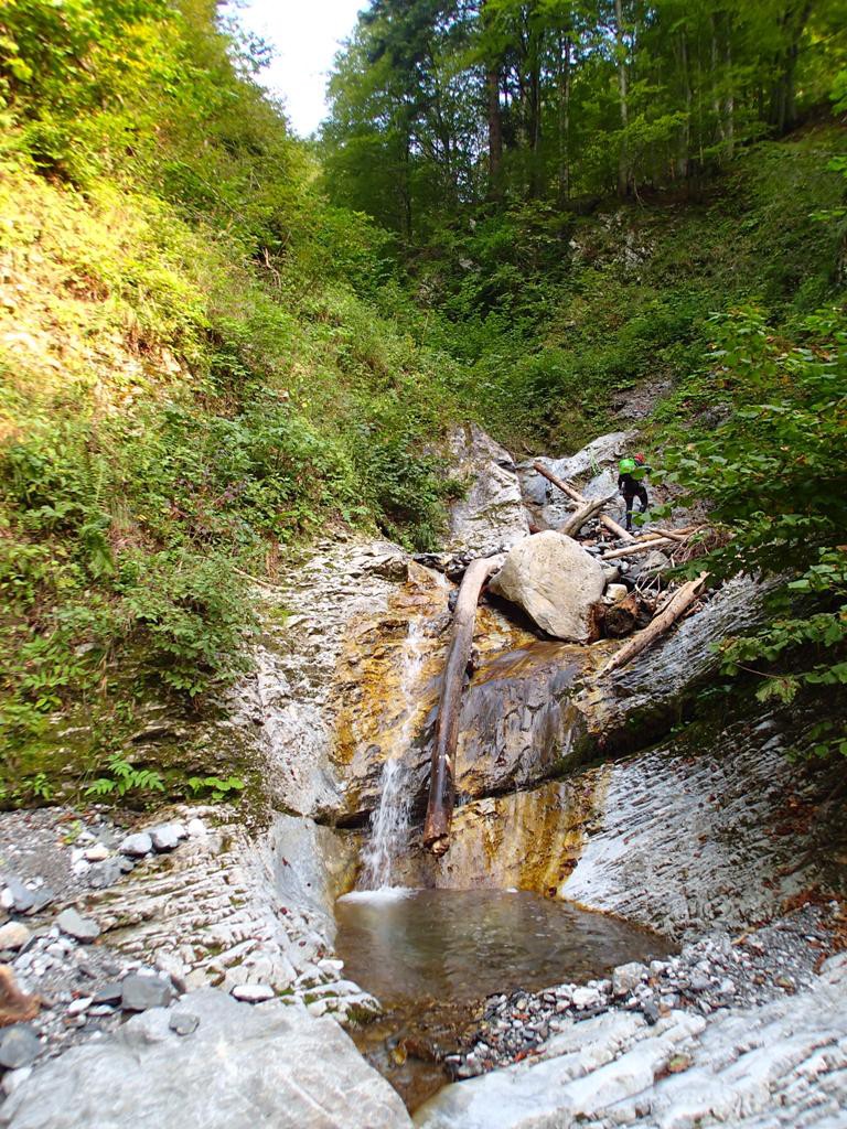 P9110091.JPG - 333.83 kb