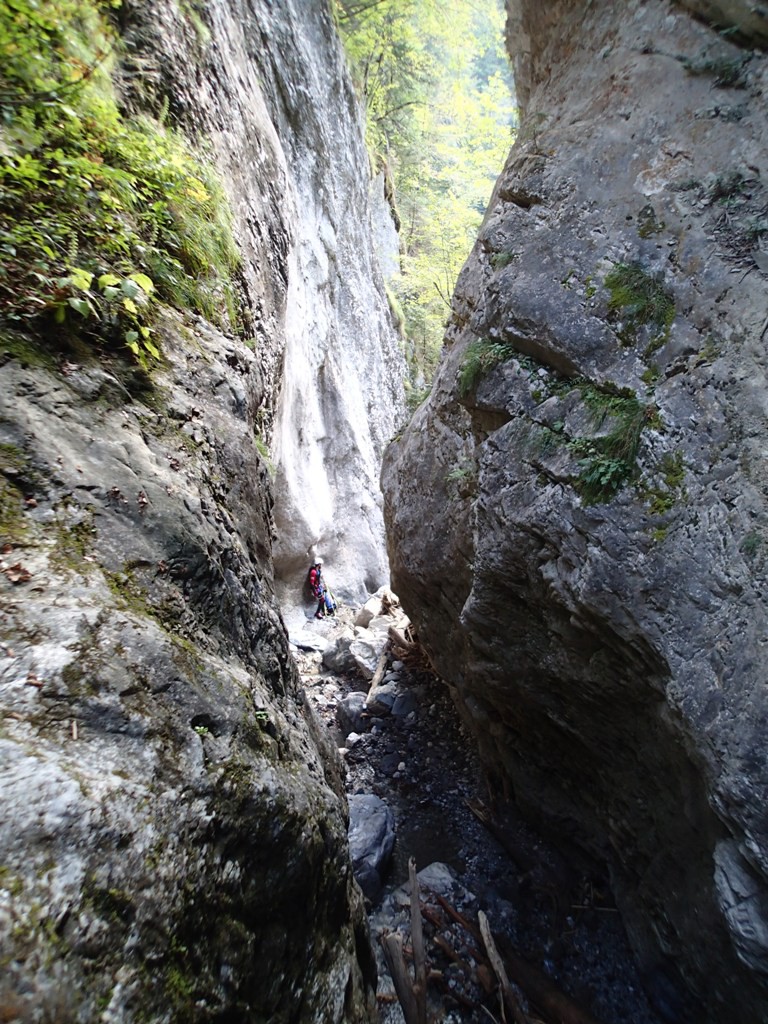 P9110097.JPG - 298.98 kb