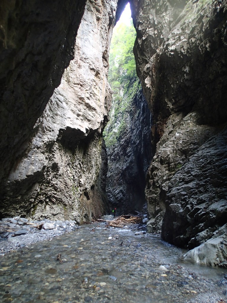 P9110139.JPG - 267.09 kb