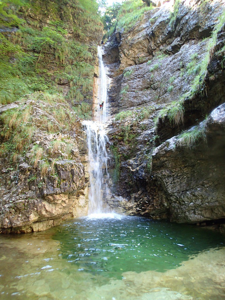 Mus (11).jpg - 354.59 kb