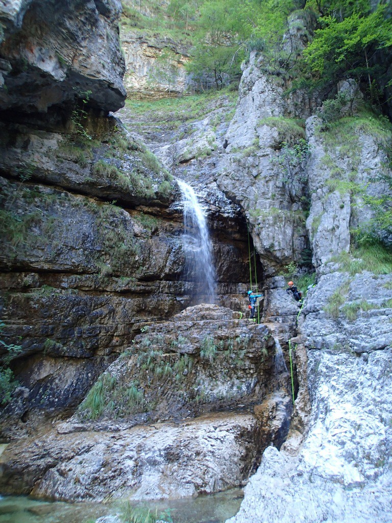 Mus (126).jpg - 375.23 kb