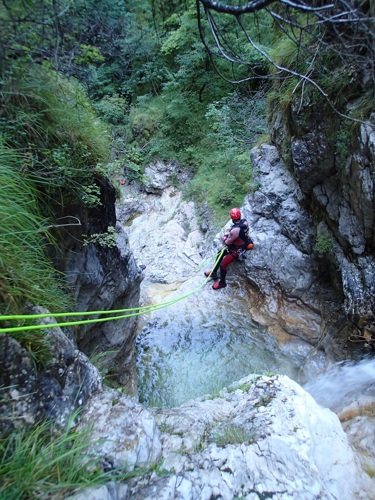 Mus (132).jpg - 364.48 kb