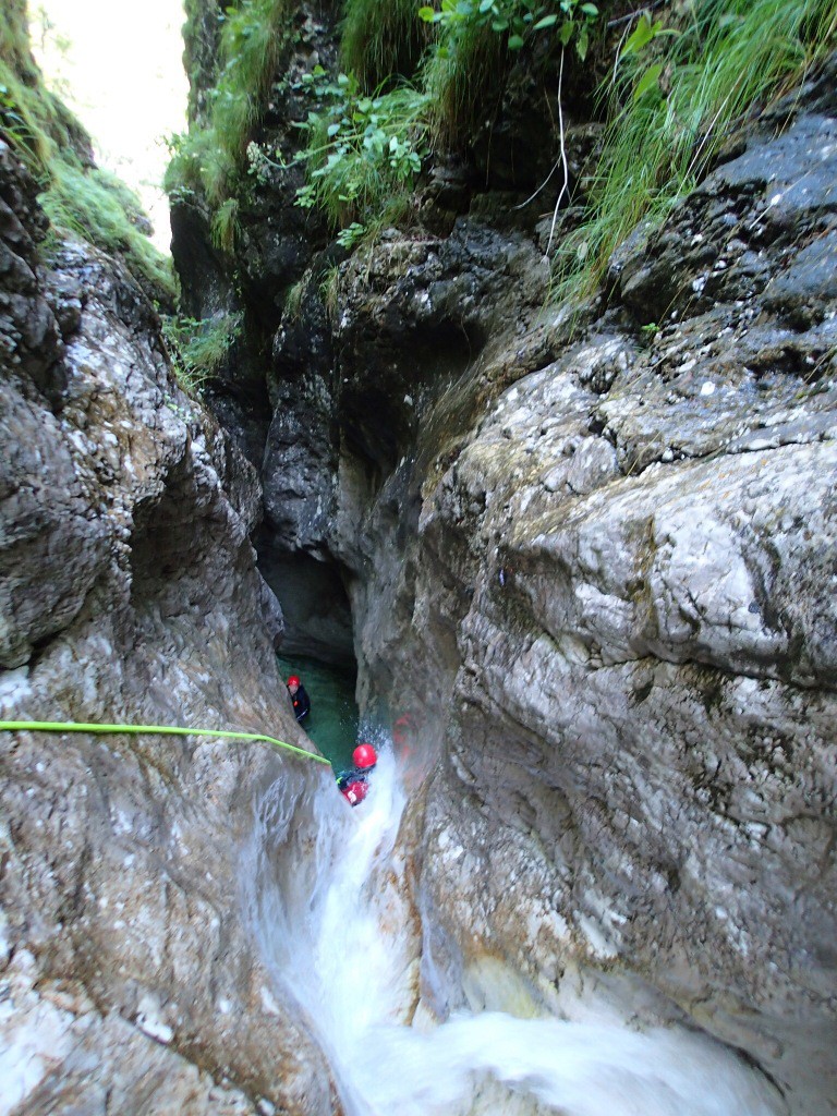 Mus (23).jpg - 305.55 kb