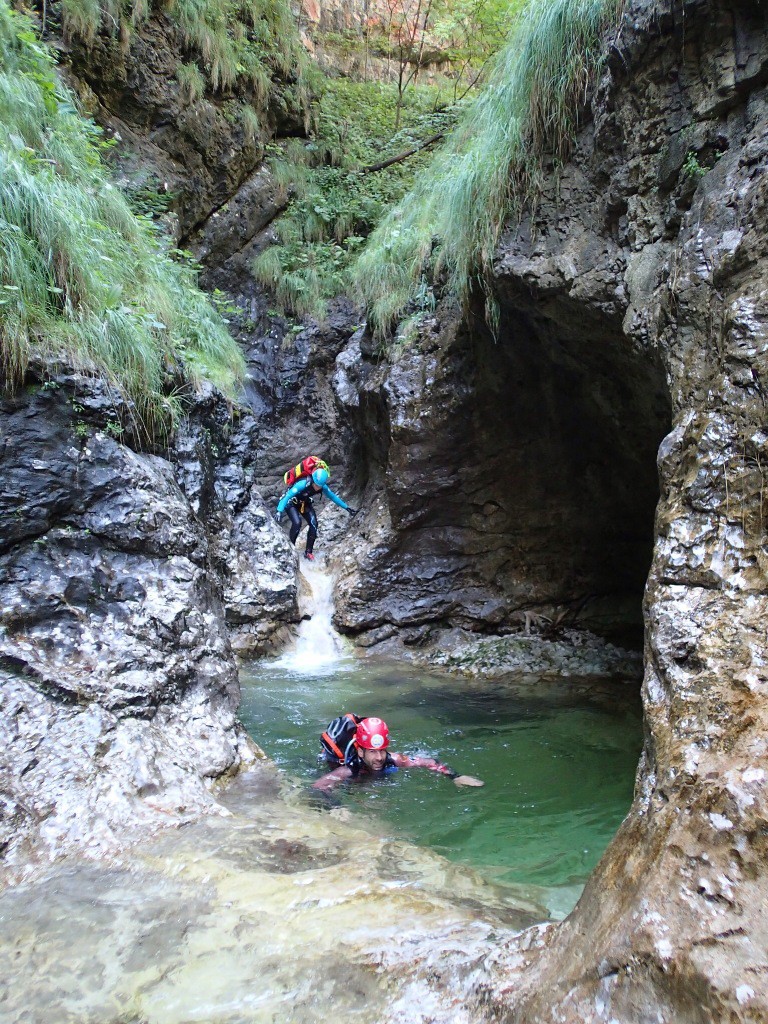 Mus (33).jpg - 359.49 kb