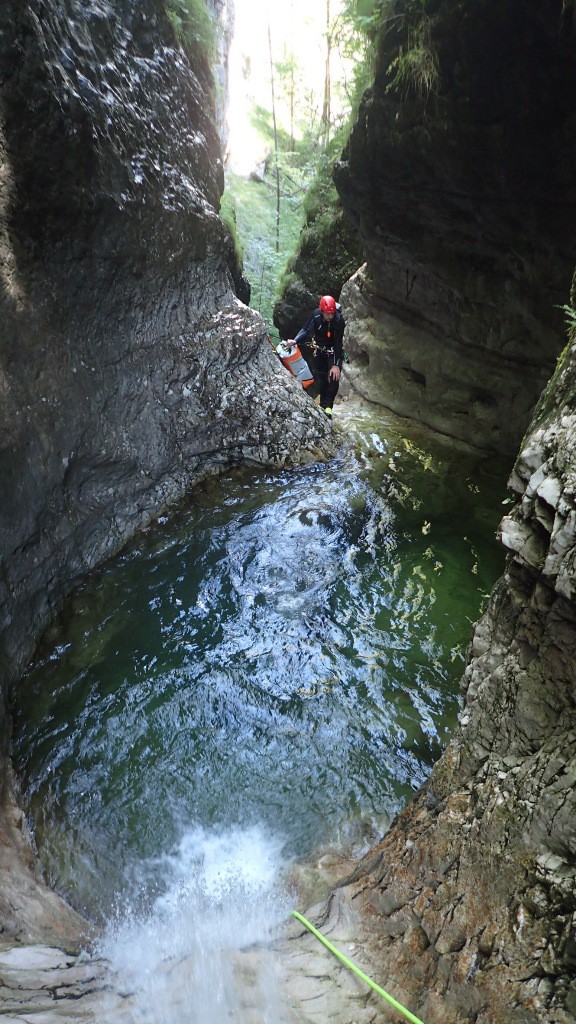 Mus (77).jpg - 229.91 kb