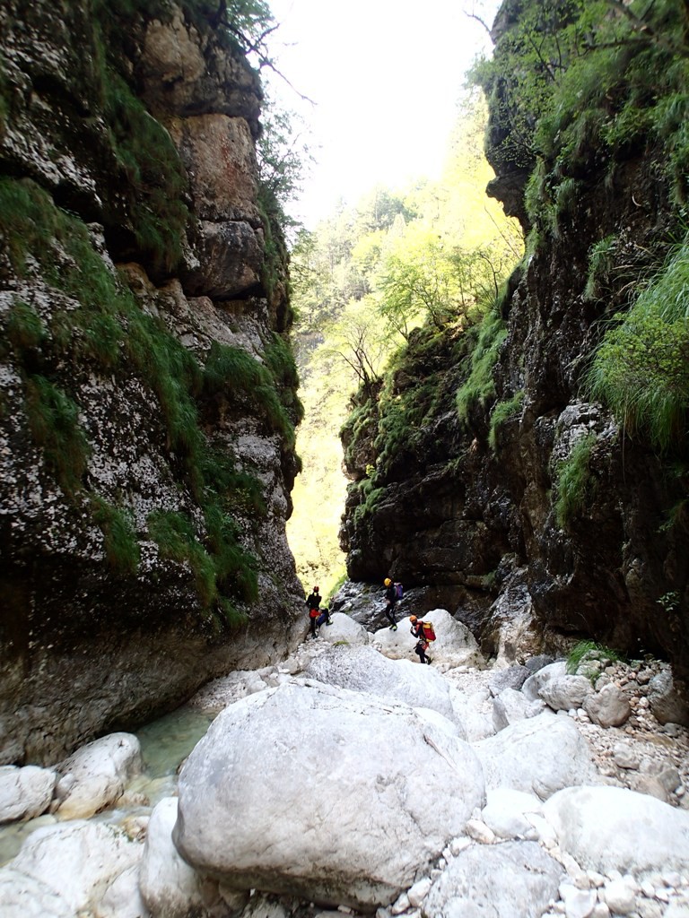 P9040284.JPG - 278.33 kb