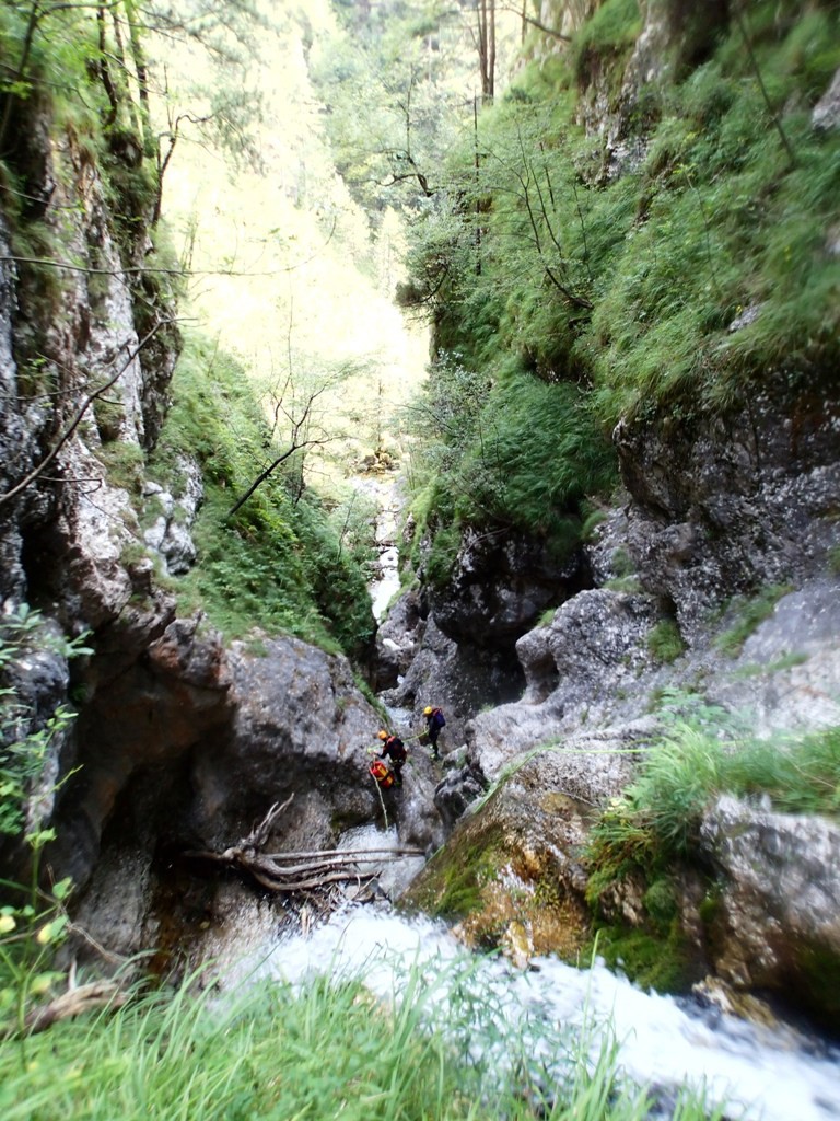 P9040547.JPG - 281.47 kb