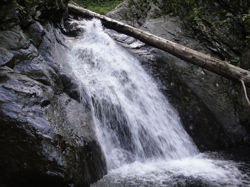 Straningergraben 8.JPG - 183.17 kb