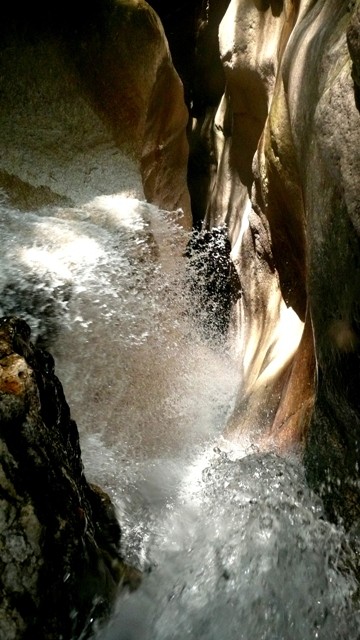 Taugl3.JPG - 78.37 kb