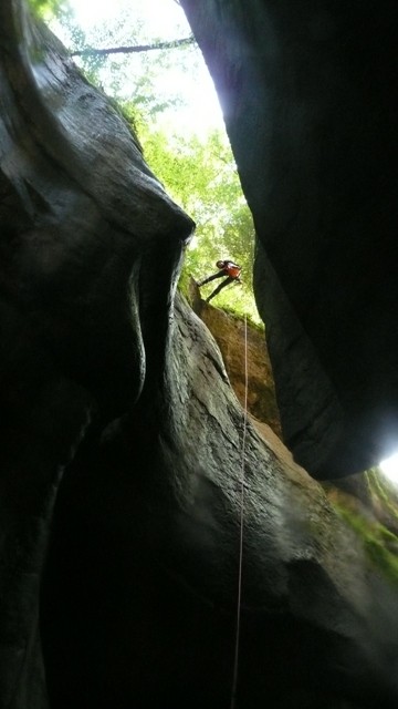 Taugl5.JPG - 43.71 kb