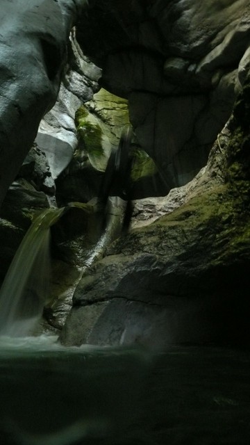 Taugl7.JPG - 48.23 kb