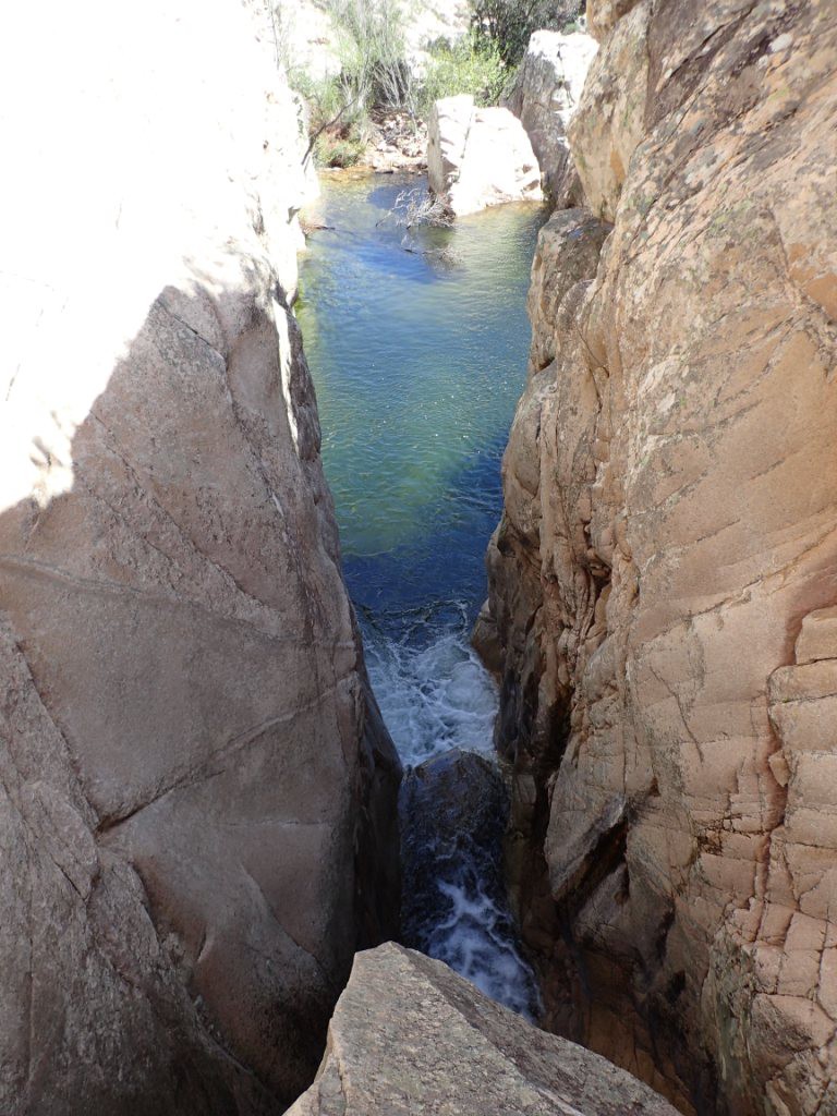 P4010032.JPG - 206.9 kb