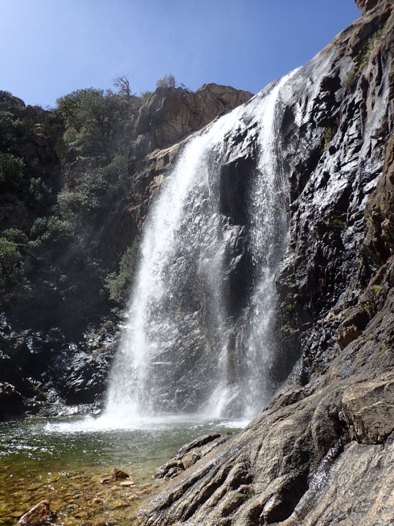 P4010070.JPG - 288.04 kb