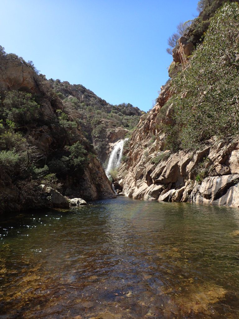 P4010078.JPG - 245.97 kb