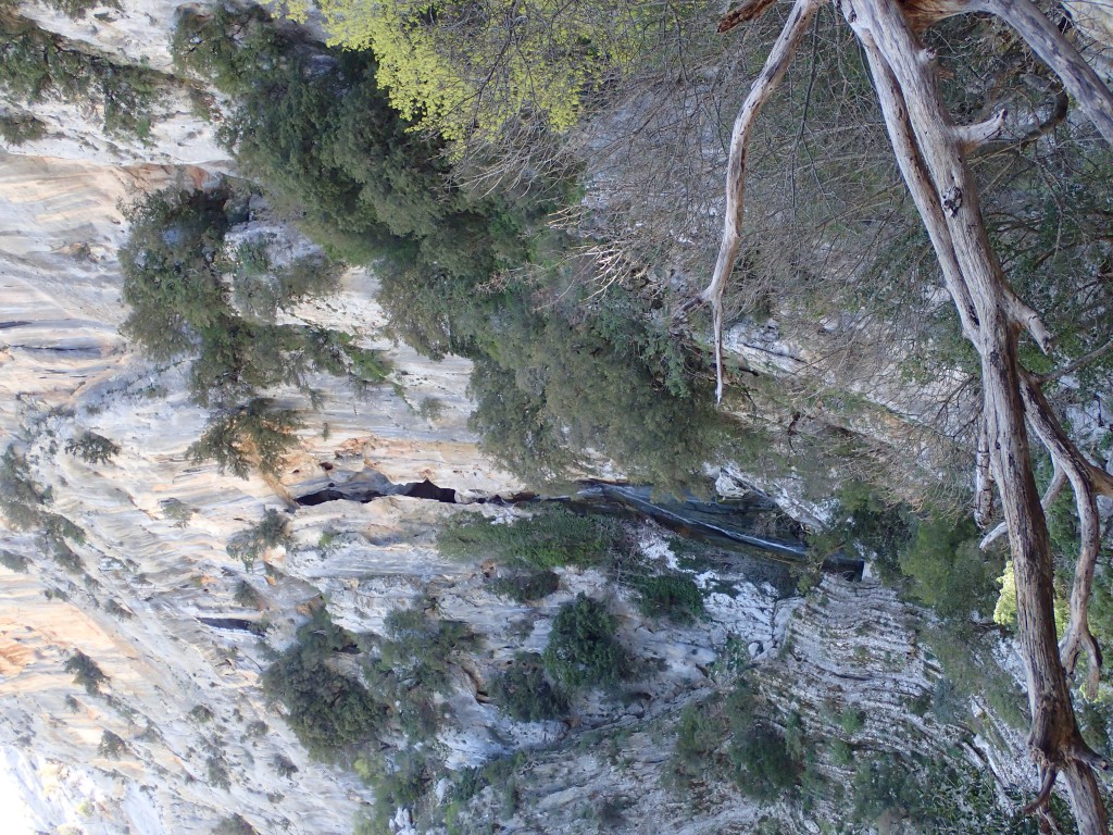 P4020124.JPG - 344.87 kb