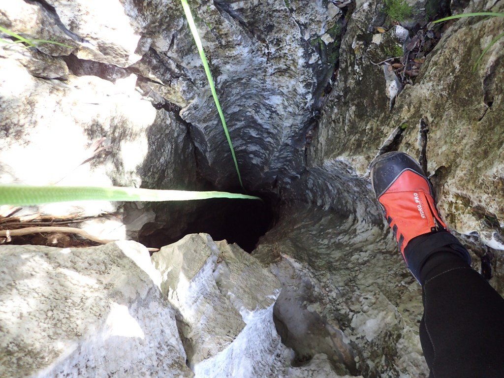 P4020155.JPG - 244.26 kb