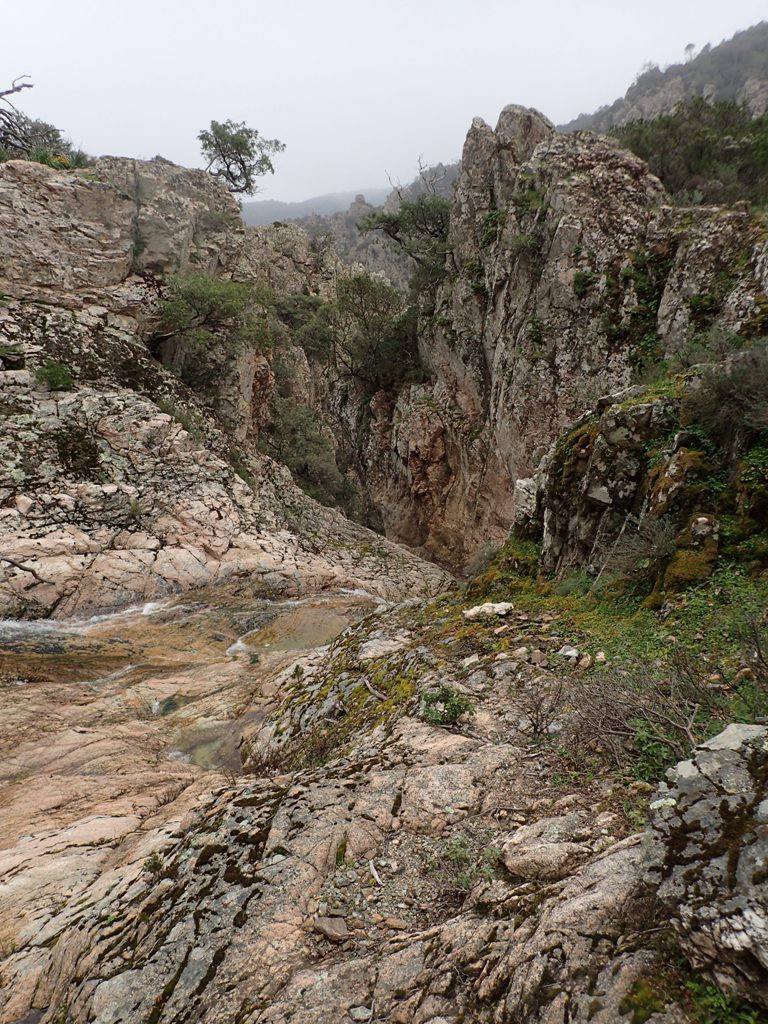 P4030031.JPG - 342.03 kb