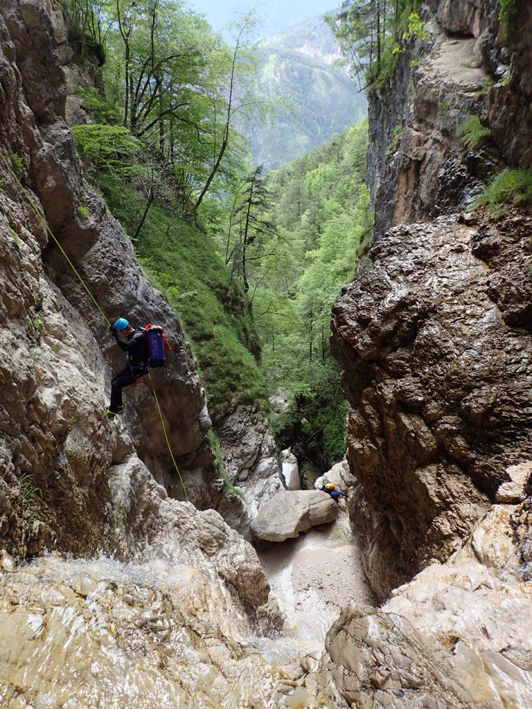 P5200281.JPG - 350.2 kb