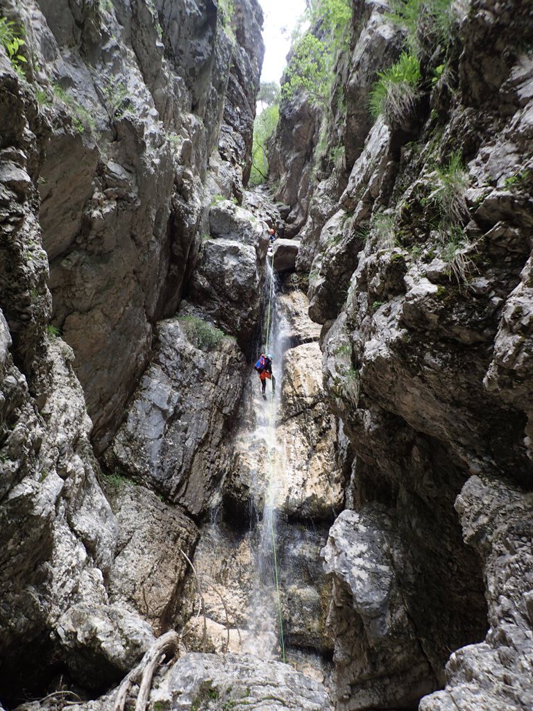 P5200293.JPG - 316.64 kb