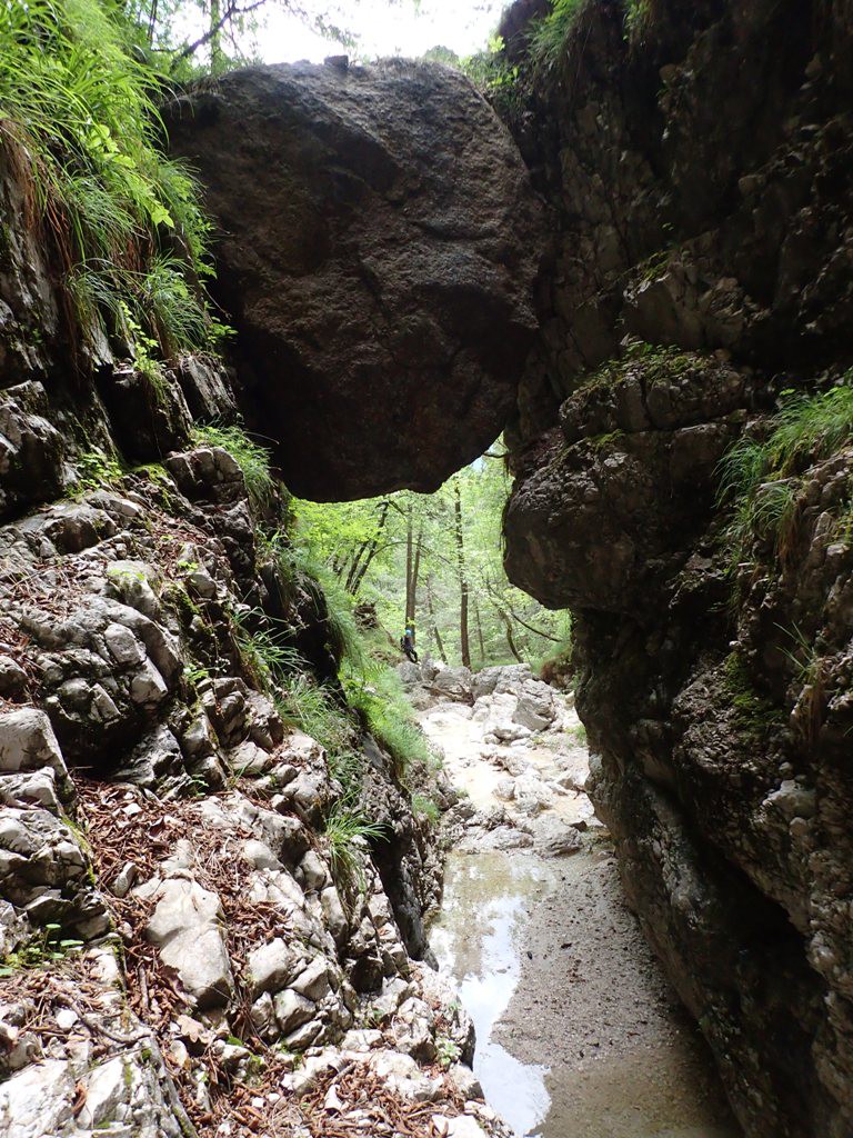 P5200302.JPG - 315.96 kb