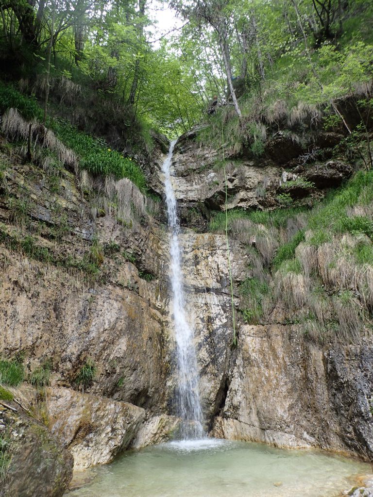 P5200327.JPG - 348.38 kb