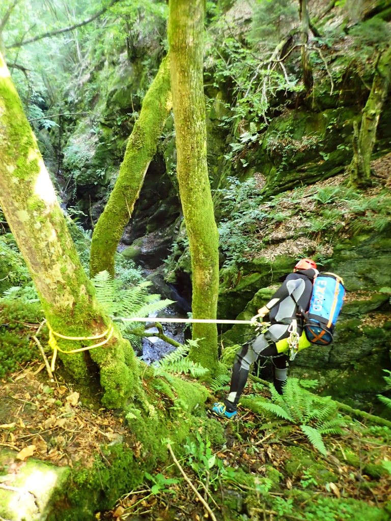 P8050639.JPG - 343.23 kb