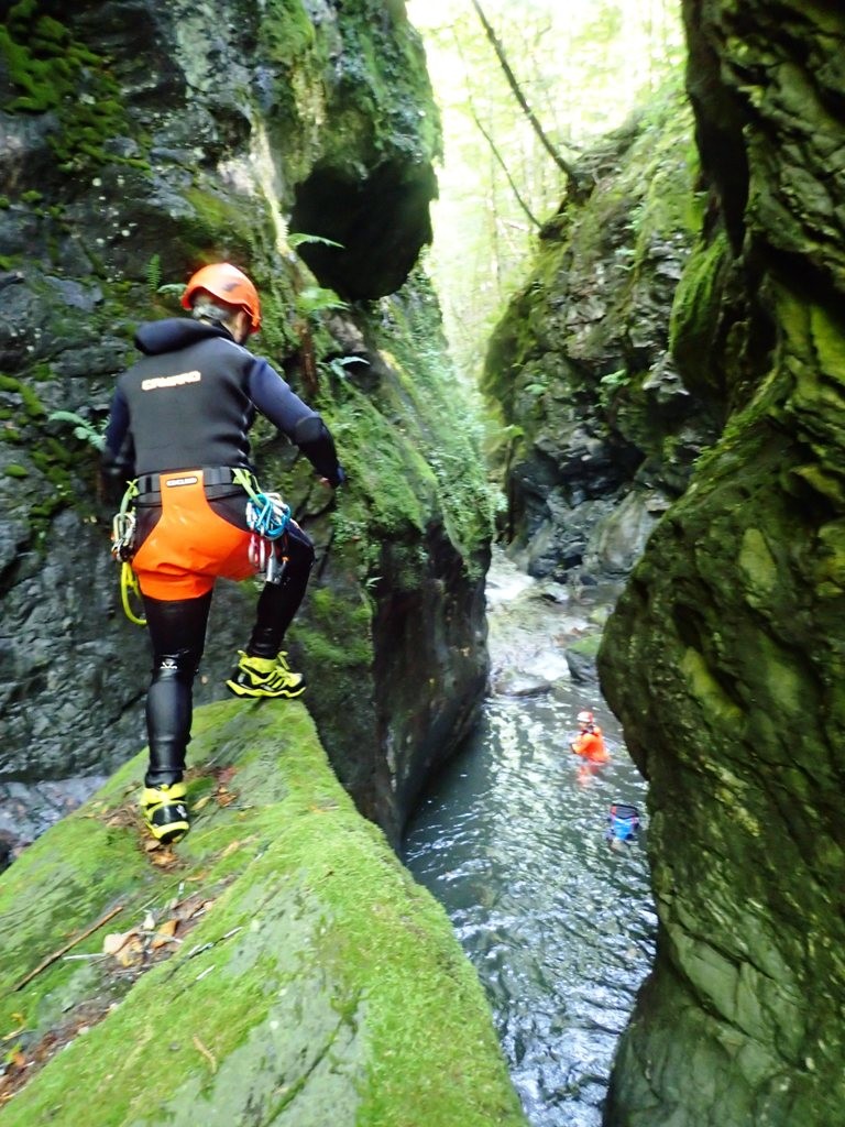 P8050647.JPG - 237.29 kb