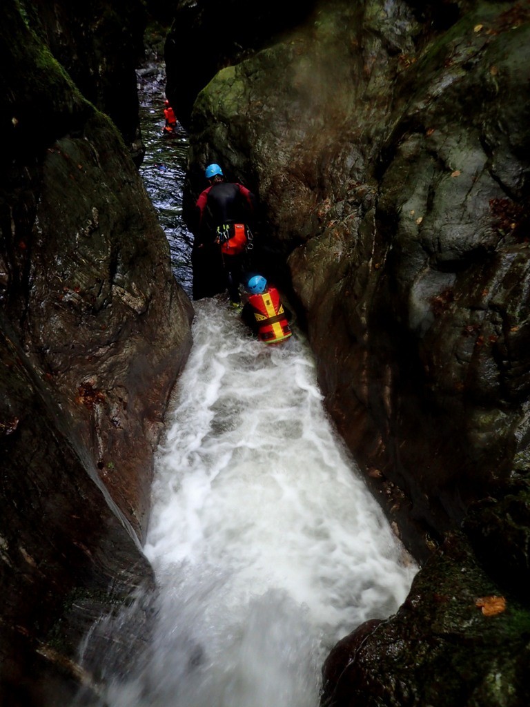 P8050650.JPG - 180.9 kb