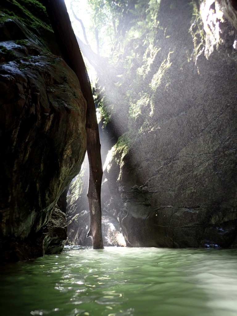 P8050702.JPG - 202.69 kb