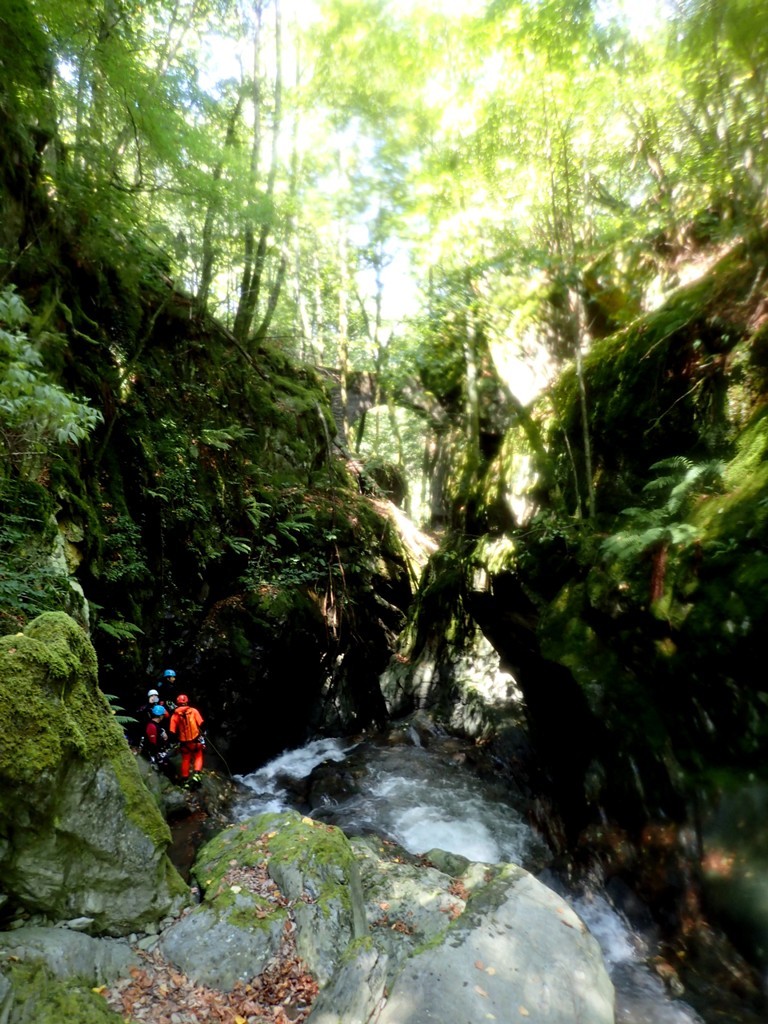 P8050730.JPG - 250.52 kb