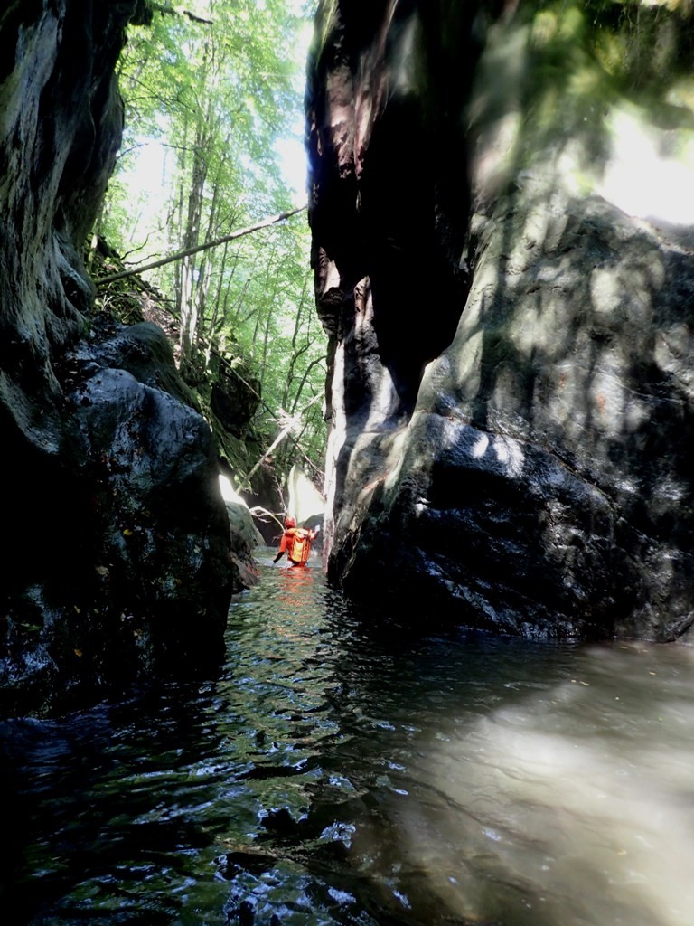 P8050745.JPG - 222.21 kb