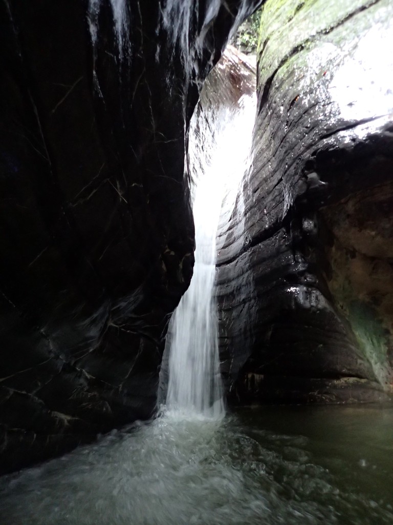 Lirone 5.JPG - 159.33 kb