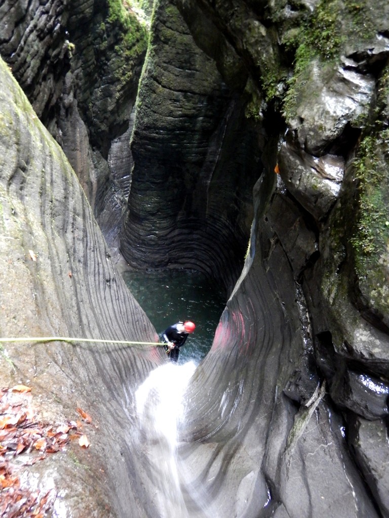 Lirone 1.JPG - 236.9 kb