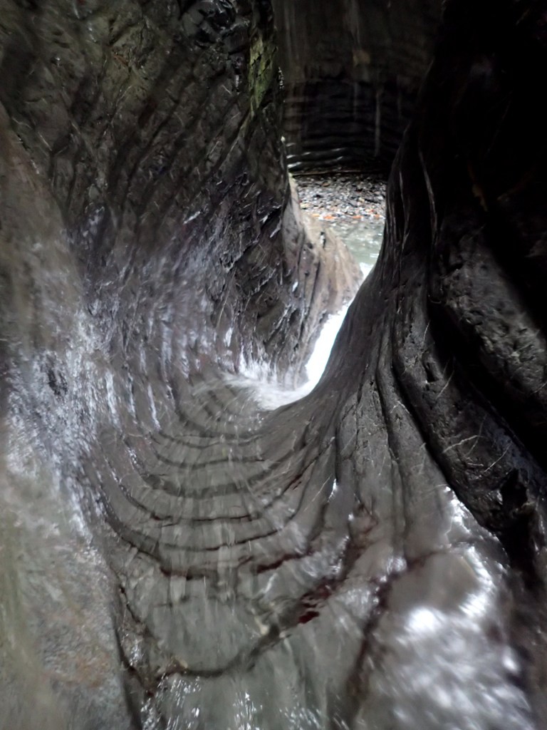 Lirone 4.JPG - 159.42 kb