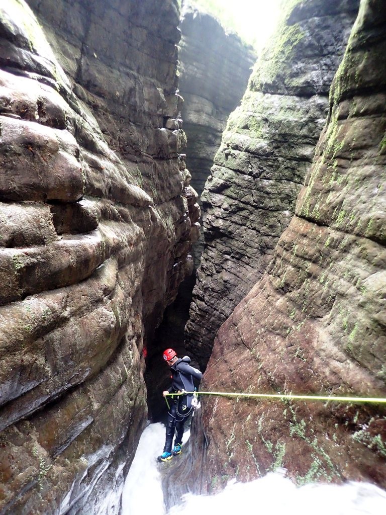 Lirone 8.JPG - 291.75 kb