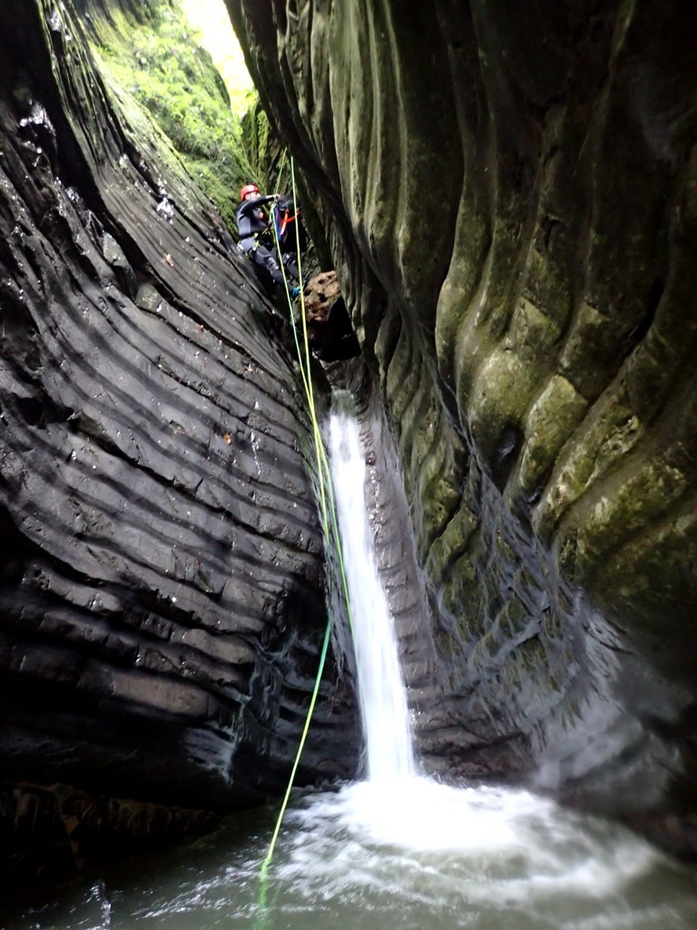 Lirone 9.JPG - 202.42 kb