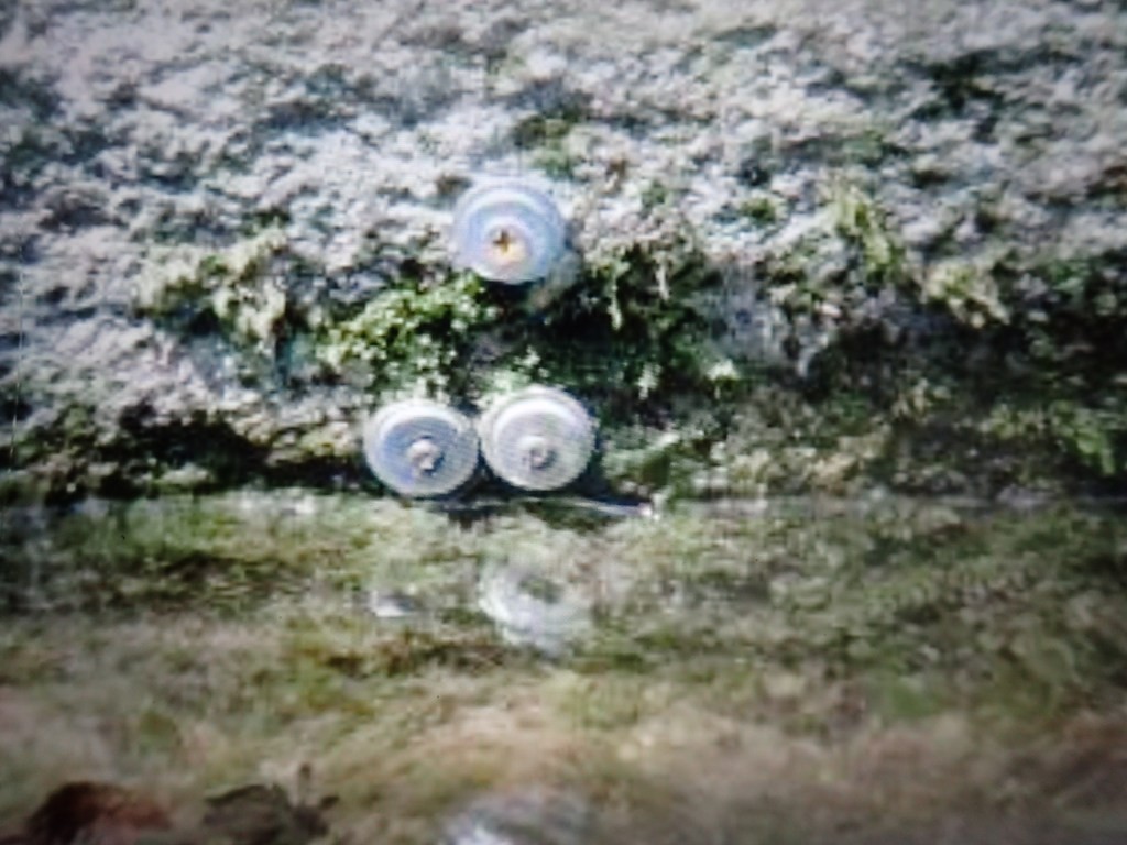 Wasserstand Lirone.JPG - 151.12 kb