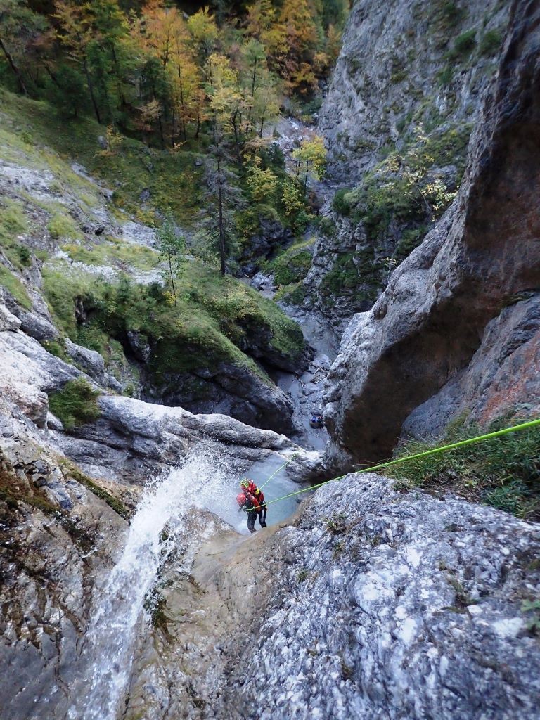 schwarz10.JPG - 319.31 kb