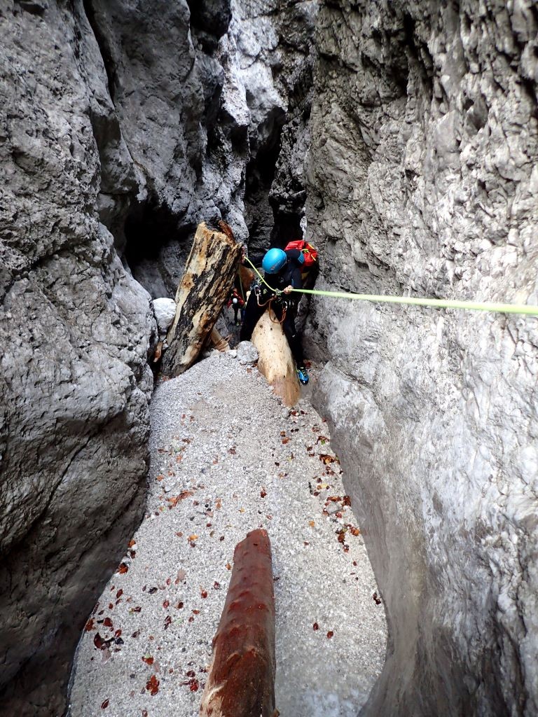 schwarz5.JPG - 329.71 kb